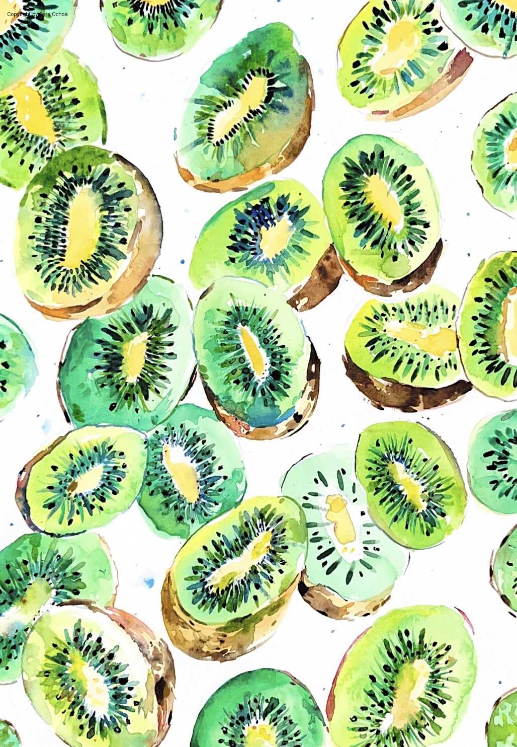01 Lamina KIWI MARCA AGUA